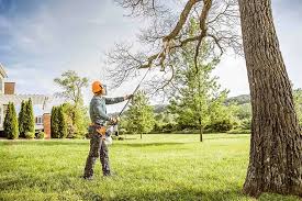 Best Stump Grinding and Removal  in Manorhaven, NY