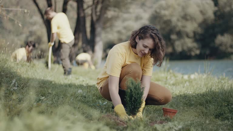 Best Pest Control for Lawns  in Manorhaven, NY