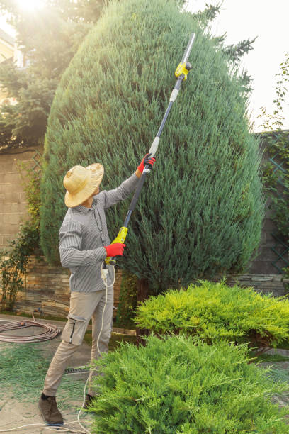 Best Lawn Mowing  in Manorhaven, NY